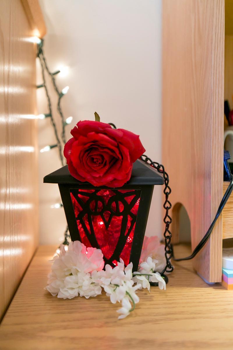 Red lantern and red rose 